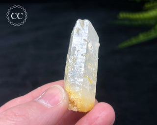 Mango Quartz #1