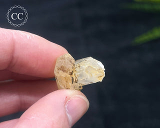 Mango Quartz #6