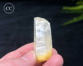 Mango Quartz #1