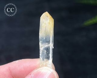 Mango Quartz #10