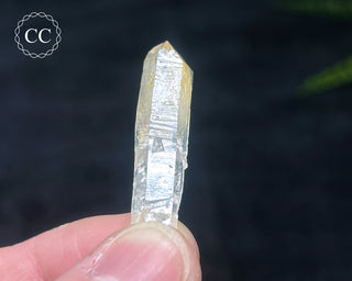 Mango Quartz #10