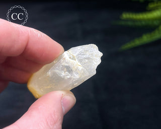 Mango Quartz #1