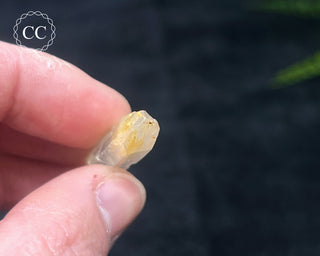 Mango Quartz #10
