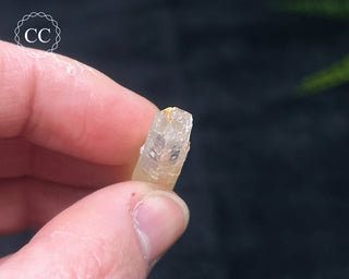 Mango Quartz #10