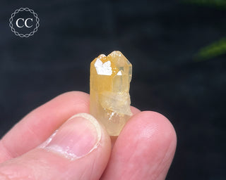 Mango Quartz #11