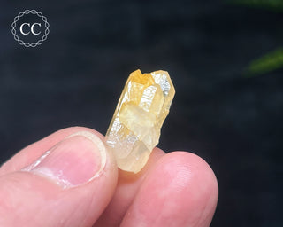 Mango Quartz #11