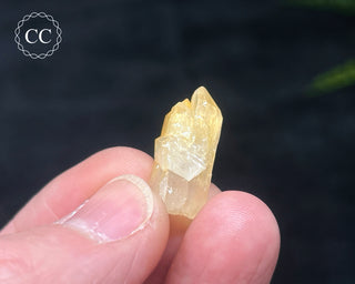 Mango Quartz #11