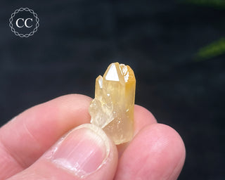 Mango Quartz #11