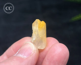 Mango Quartz #11
