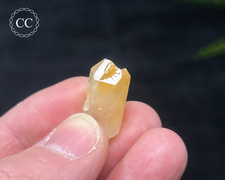 Mango Quartz #11