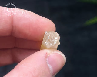 Mango Quartz #11