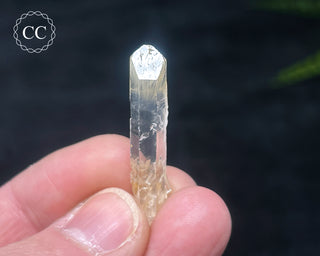 Mango Quartz #12
