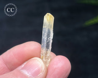 Mango Quartz #12