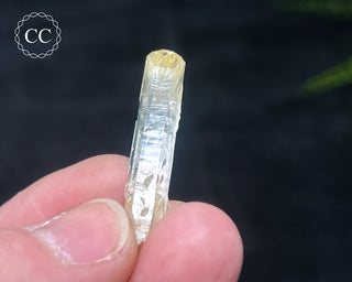 Mango Quartz #12