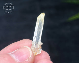 Mango Quartz #12