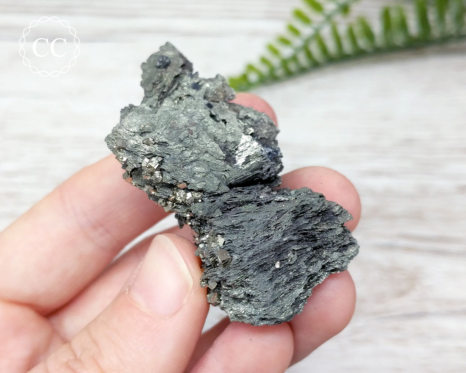 Marcasite Pyrite Specimen Peru #11 – The Citrine Circle