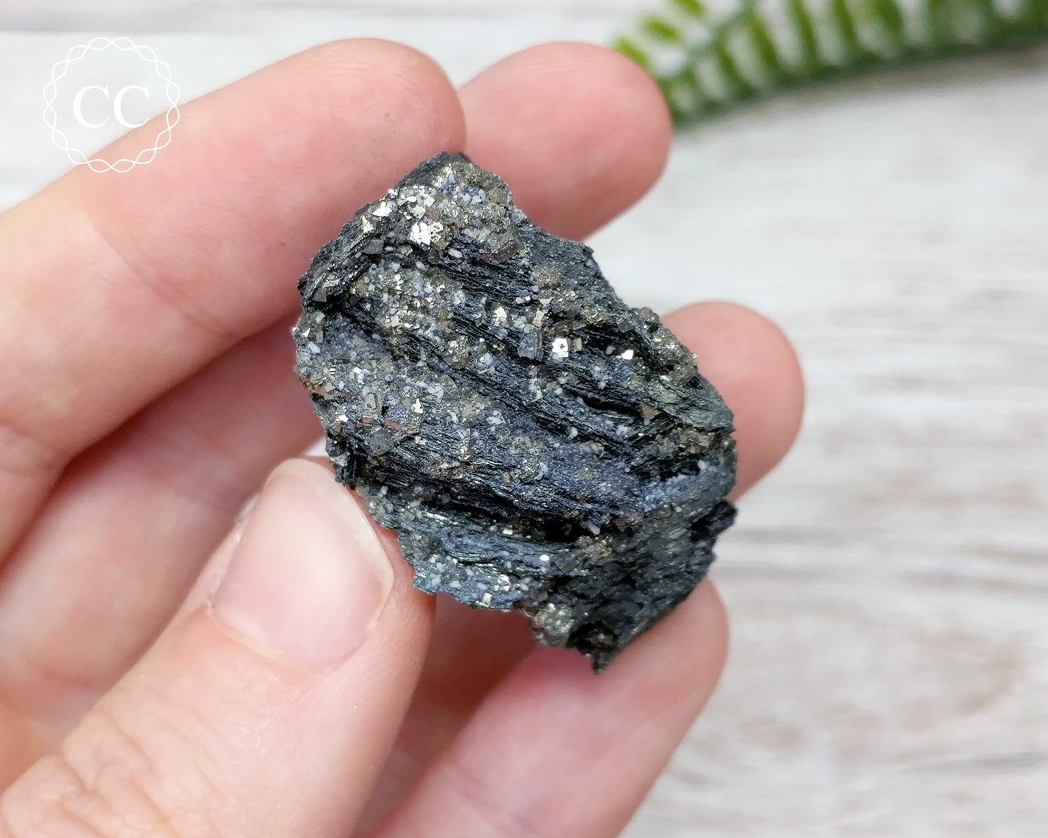 Marcasite Pyrite Specimen Peru #13 – The Citrine Circle