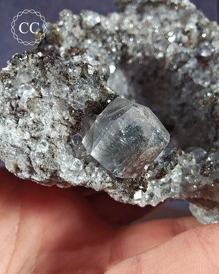 Marcasite and Calcite Specimen - Linwood Mine #3