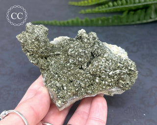 Marcasite and Pyrite Specimen #3