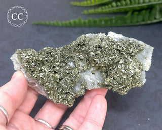 Marcasite and Pyrite Specimen #4