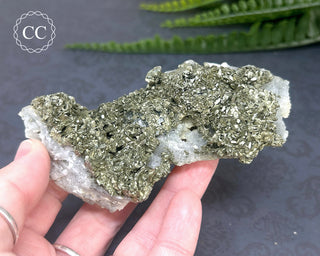 Marcasite and Pyrite Specimen #4