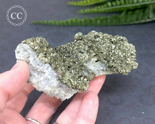 Marcasite and Pyrite Specimen #4