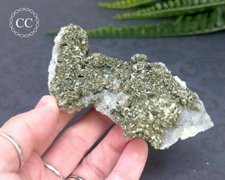 Marcasite and Pyrite Specimen #4