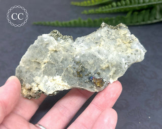 Marcasite and Pyrite Specimen #4