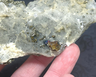Marcasite and Pyrite Specimen #4