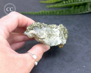 Marcasite and Pyrite Specimen #4