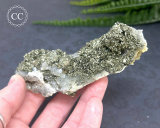 Marcasite and Pyrite Specimen #4