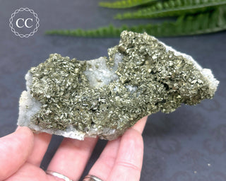 Marcasite and Pyrite Specimen #4