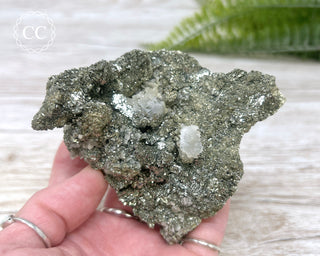 Marcasite & Pyrite Specimen #5
