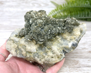 Marcasite & Pyrite Specimen #6