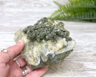 Marcasite & Pyrite Specimen #6