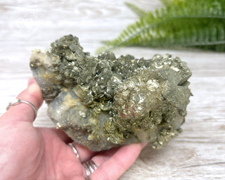 Marcasite & Pyrite Specimen #6