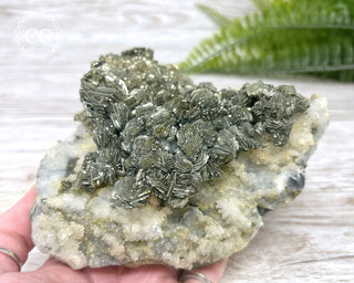 Marcasite & Pyrite Specimen #6