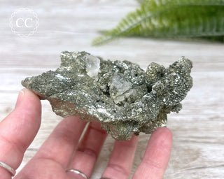 Marcasite & Pyrite Specimen #5
