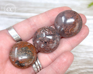 Chocolate Jasper Button | Tumbled Crystal