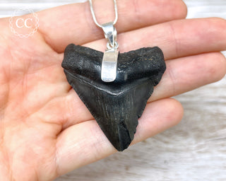 Megalodon Tooth Silver Necklace #1