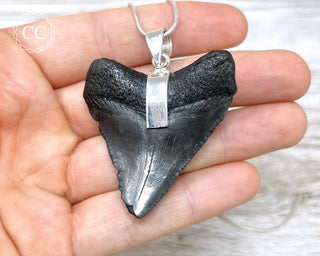 Megalodon Tooth Silver Necklace #1