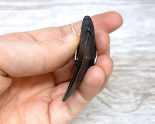 Megalodon Tooth Silver Necklace #1