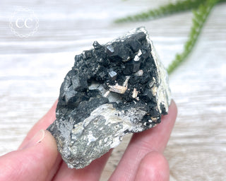Melanite Garnet Specimen #1