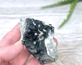 Melanite Garnet Specimen #1