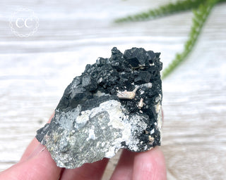 Melanite Garnet Specimen #1