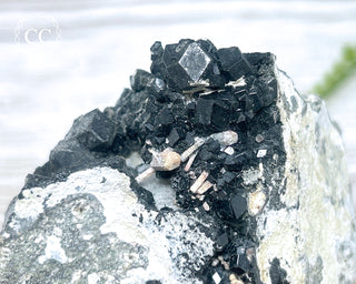 Melanite Garnet Specimen #1