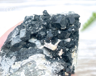 Melanite Garnet Specimen #1