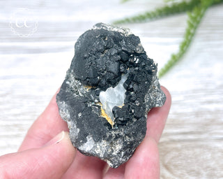 Melanite Garnet Specimen #2