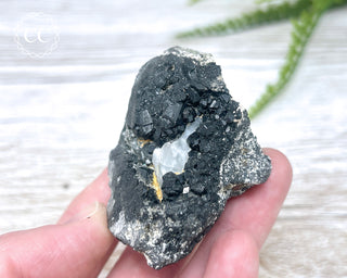 Melanite Garnet Specimen #2