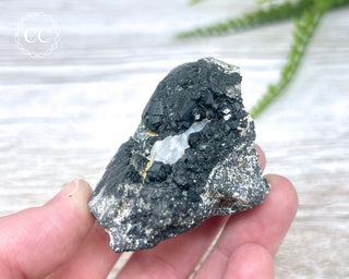 Melanite Garnet Specimen #2